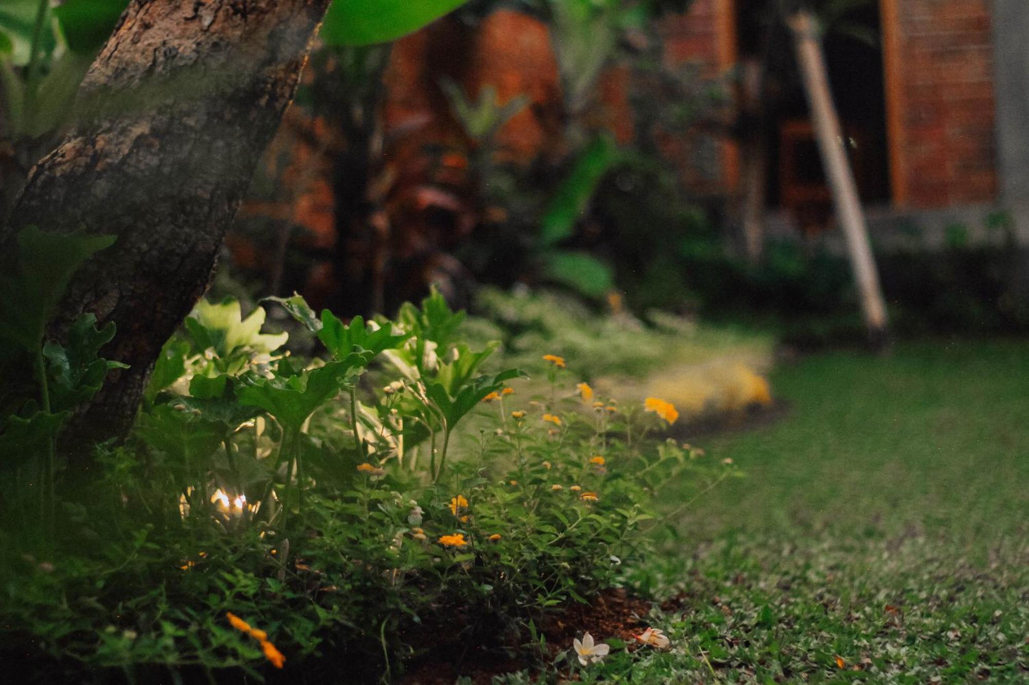 The Govardhan Homestay Canggu  Ngoại thất bức ảnh
